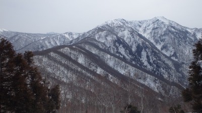 P3221226.jpg (130.56 KiB) 閲覧された回数 33 回 伏拝から経ヶ岳への尾根