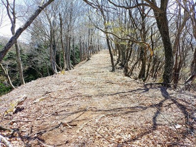 尾根上の広い謎の道