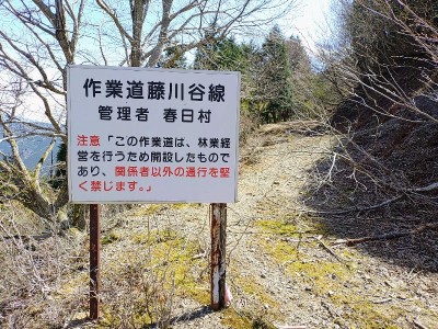 歩いて来た藤川林道