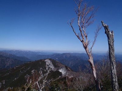 シャクナゲの平から北の眺め