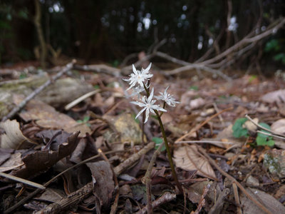 これは霊仙ではなくて別のところで撮影