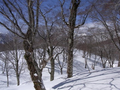うねる雪と影の戯れ