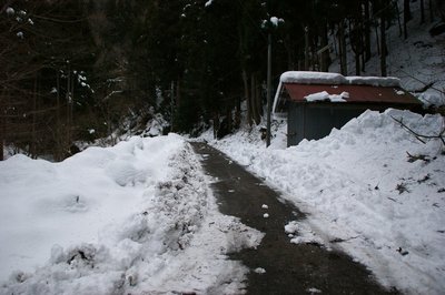 除雪された道路と登山口