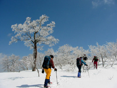 樹氷の中を山頂へ.jpg