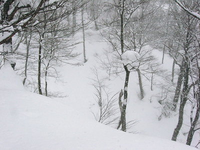 ●　深い雪だよ、谷渡りは危ないよ