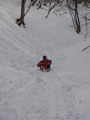 コグルミボブスレー２