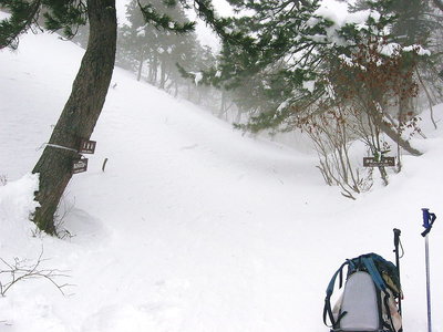 ● 大雪だどー、雪は好いなあ