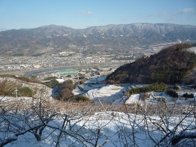 P1050994.jpg (158.38 KiB) 閲覧された回数 8880 回 紀の川の南側斜面を巻いてゆく