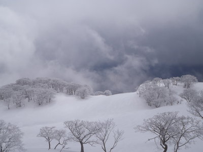 P2260240.JPG (674.27 KiB) 閲覧された回数 73651 回 きれいな奥の平