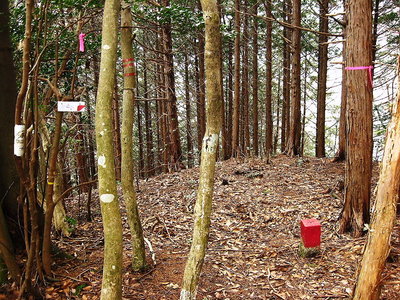 ● 水晶山、以前と感じが違う。なにか遺跡があったようなのに？？