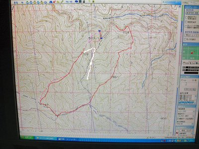 ● コグルミ谷、左岸右岸尾根を見た