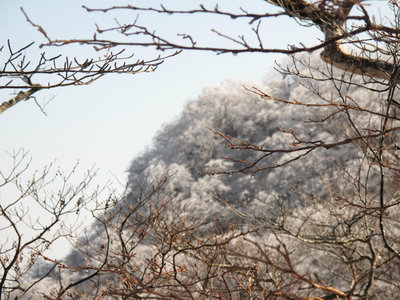 シャッポ尾根方面