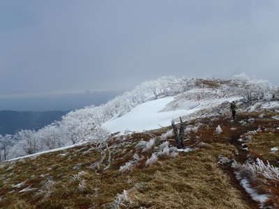 丸山から奥ノ平1241に向かうとガスが抜け始めた。