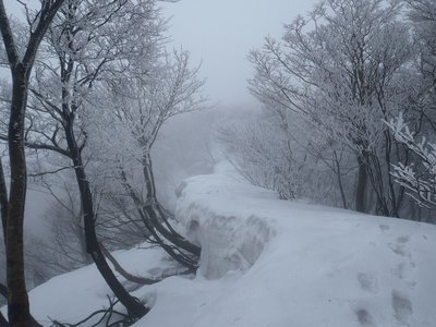 鞍掛尾根の雪庇