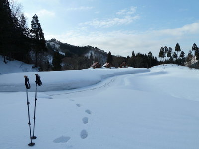 林道入口の印象