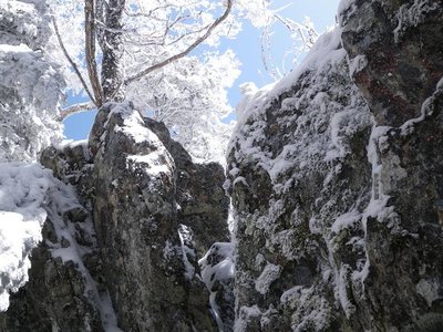 ゴジラの背の巨岩