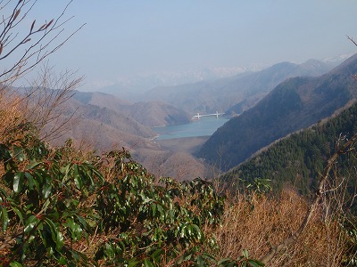 ヤブ尾根の途中から徳山ダム湖