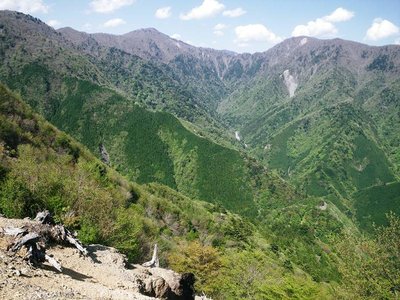 高塚・竜馬・岩岳・・・京丸沢源頭の山々