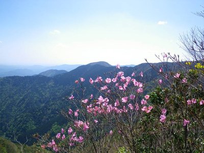 中央奥のボンジ山とアカヤシオ
