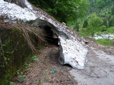 林道のトンネル