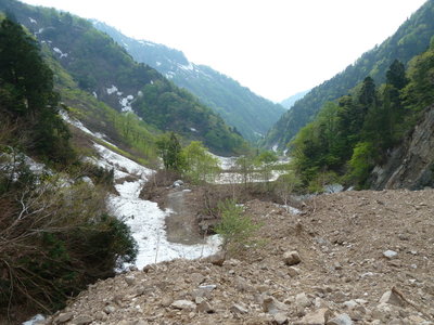 林道終点までこの状態