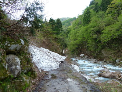 こんなところを乗り越えて行きました