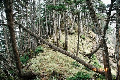 　三又山近くの狭い稜線