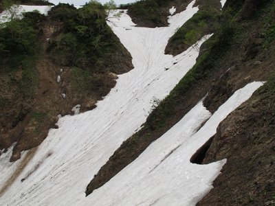 たんぽぽ平から見る雪渓上部
