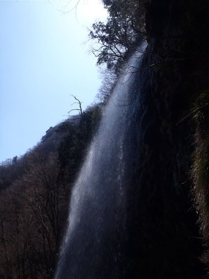 20110410-27.jpg