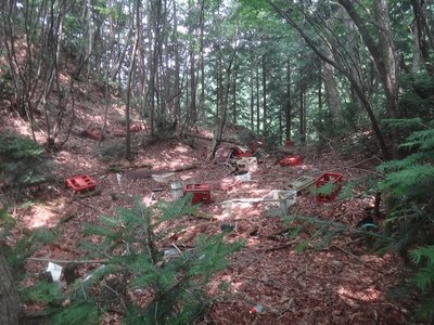 DSC00636.jpg (193.86 KiB) 閲覧された回数 7481 回 植林小屋跡