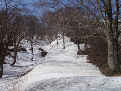 この鞍部から最後の急登だ！