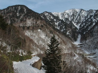 大棚林道と白谷山　　～フツーの人は林道から入りますね～