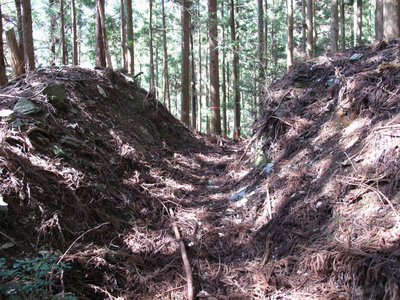 中栃村への杣道の切り通し