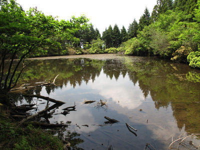水舟の池