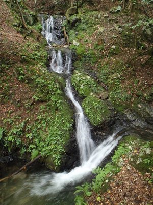 茶屋川カシロの滝