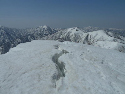 割れ目もできてます